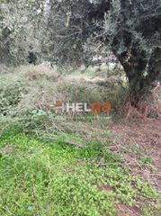 Οικόπεδο 437 τ.μ. για πώληση, Αχαΐα, Πάτρα-thumb-20