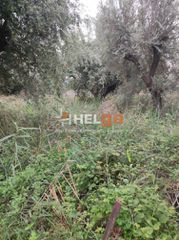 Οικόπεδο 437 τ.μ. για πώληση, Αχαΐα, Πάτρα-thumb-2