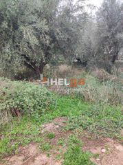 Οικόπεδο 437 τ.μ. για πώληση, Αχαΐα, Πάτρα-thumb-8