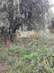 Οικόπεδο 437 τ.μ. για πώληση, Αχαΐα, Πάτρα-thumb-13