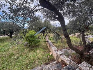 Μονοκατοικία 180 τ.μ. για πώληση, Αχαΐα, Μεσσατίδα-thumb-38