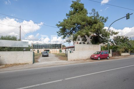 Οικόπεδο 1.324 τ.μ. για ενοικίαση
