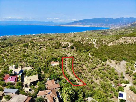 Οικόπεδο 1.592τ.μ. για πώληση-Αβία