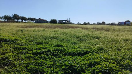 Οικόπεδο 10.112τ.μ. για ενοικίαση-Γαργαλιάνοι