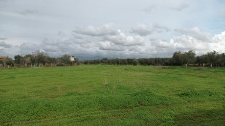 Οικόπεδο 904τ.μ. για πώληση-Γαργαλιάνοι