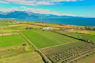 Οικόπεδο 62.000 τ.μ. για πώληση