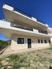 Γραφείο 50 τ.μ. για ενοικίαση, Μεσσηνία, Μελιγαλά-thumb-3