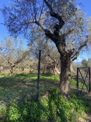 Οικόπεδο 905 τ.μ. για πώληση, Μεσσηνία, Μελιγαλά-thumb-3