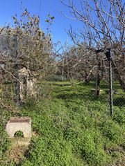 Οικόπεδο 905 τ.μ. για πώληση, Μεσσηνία, Μελιγαλά-thumb-6