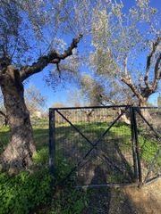 Οικόπεδο 905 τ.μ. για πώληση, Μεσσηνία, Μελιγαλά-thumb-16