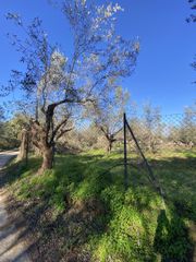 Οικόπεδο 905 τ.μ. για πώληση, Μεσσηνία, Μελιγαλά-thumb-17