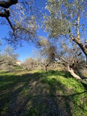 Οικόπεδο 905 τ.μ. για πώληση, Μεσσηνία, Μελιγαλά-thumb-13