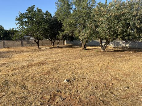 Οικόπεδο 1.000τ.μ. για πώληση-Κορωπί