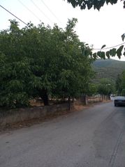 Οικόπεδο 620 τ.μ. για πώληση, Μεσσηνία, Θουρία-thumb-2