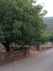 Οικόπεδο 620 τ.μ. για πώληση, Μεσσηνία, Θουρία-thumb-3