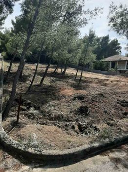 Οικόπεδο 1.001τ.μ. για πώληση-Μαλεσίνα