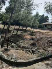 Οικόπεδο 1.001 τ.μ. για πώληση