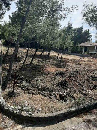 Οικόπεδο 1.001 τ.μ. για πώληση, Φθιώτιδας, Μαλεσίνα