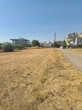 Οικόπεδο 1.000τ.μ. για πώληση-Χαλκίδα