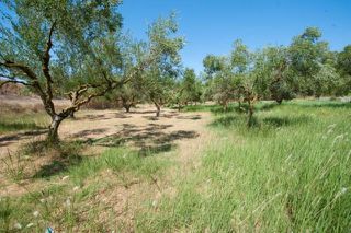 Οικόπεδο 4.031 τ.μ. για πώληση, Ζάκυνθος, Περιοχη Χώρας-thumb-1