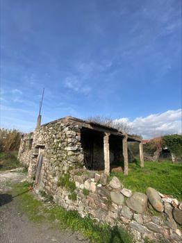 Οικόπεδο 290τ.μ. για πώληση-Οιχαλία