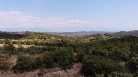 Οικόπεδο 4.658τ.μ. για πώληση-Παπαφλέσσας