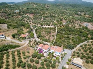 Οικόπεδο 2.397 τ.μ. για πώληση, Μεσσηνία, Αίπεια-thumb-1