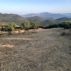 Οικόπεδο 5.000 τ.μ. για πώληση, Μεσσηνία, Αυλώνα-thumb-1