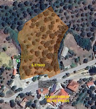 Αγροτεμάχια 5.279τ.μ. για πώληση-Πεταλίδι