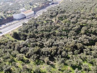 Οικόπεδο 8.257 τ.μ. για πώληση, Μεσσηνία, Καλαμάτα-thumb-3