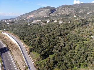 Οικόπεδο 8.257 τ.μ. για πώληση, Μεσσηνία, Καλαμάτα-thumb-5