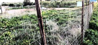 Οικόπεδο 2.696 τ.μ. για ενοικίαση, Αττική - Υπόλοιπο, Πικέρμι-thumb-14