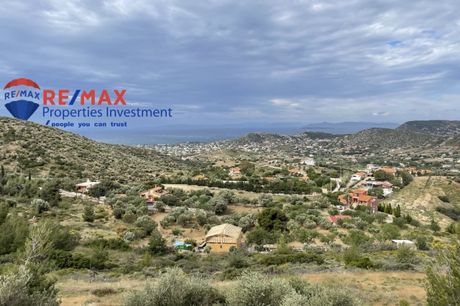 Land plot 5.600sqm for sale-Kalivia Thorikou
