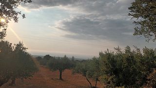 Οικόπεδο 7.500 τ.μ. για πώληση, Μεσσηνία, Κυπαρισσία-thumb-3