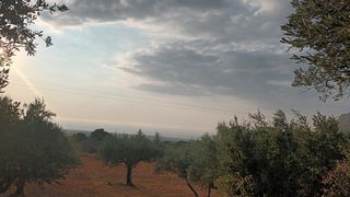 Οικόπεδο 7.500 τ.μ. για πώληση, Μεσσηνία, Κυπαρισσία-thumb-2