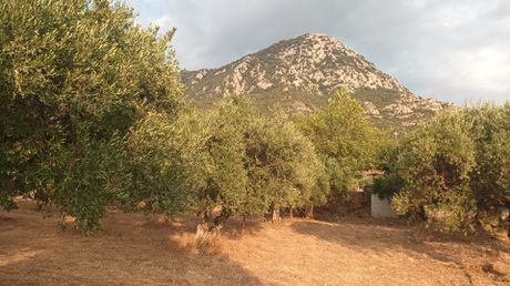 Land plot 7.500sqm for sale-Kiparissia