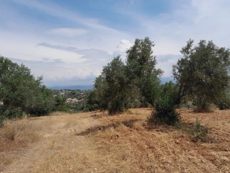 Parcel 6.611sqm for sale-Sikamino