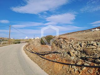 Αγροτεμάχια 2.100 τ.μ. για πώληση