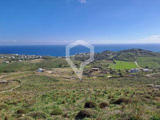 Αγροτεμάχια 4.879 τ.μ. για πώληση