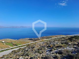 Αγροτεμάχια 12.278 τ.μ. για πώληση