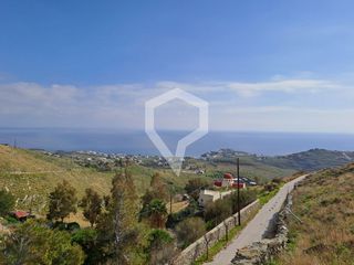 Αγροτεμάχια 4.478 τ.μ. για πώληση