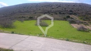 Οικόπεδο 4.000 τ.μ. για πώληση