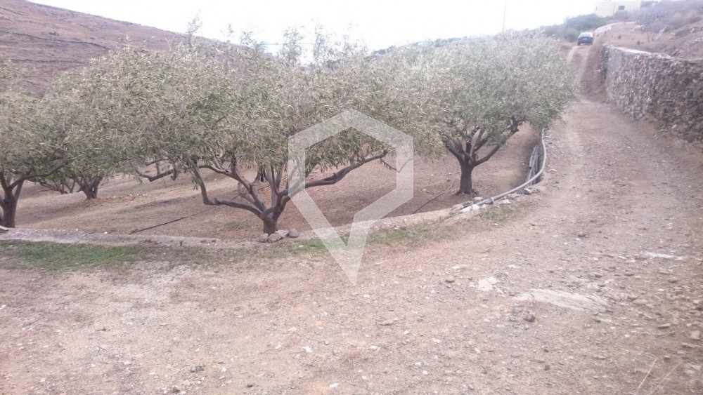 Οικόπεδο 3.071 τ.μ. προς πώληση, Ποσειδωνία Σύρου