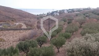 Οικόπεδο 3.071 τ.μ. για πώληση