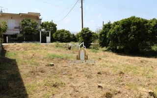 Οικόπεδο 9.300 τ.μ. για πώληση
