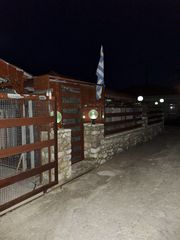 Μονοκατοικία 97 τ.μ. για πώληση, Μεσσηνία, Πεταλίδι-thumb-23