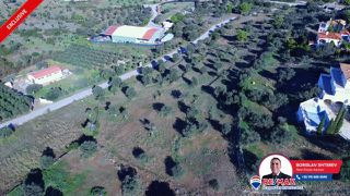 Οικόπεδο 6.566,62 τ.μ. για πώληση, Αργολίδα, Κρανίδι-thumb-10