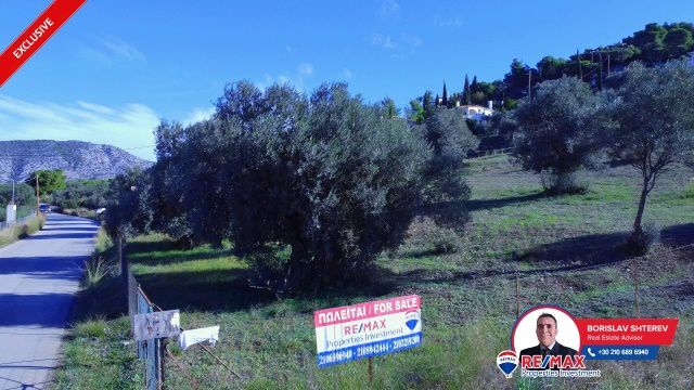 Οικόπεδο 6.566,62 τ.μ. για πώληση, Αργολίδα, Κρανίδι