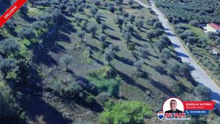 Οικόπεδο 6.566,62 τ.μ. για πώληση, Αργολίδα, Κρανίδι-thumb-14