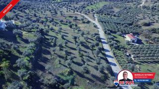 Οικόπεδο 6.566,62 τ.μ. για πώληση, Αργολίδα, Κρανίδι-thumb-13